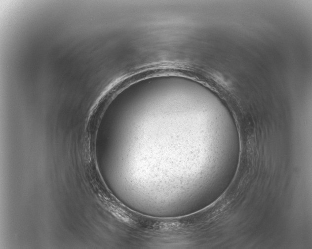 X0000060231310200510311537