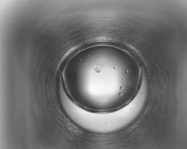 X0000060231314200510311537