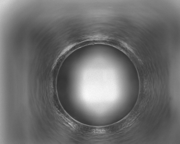 X0000060231315200510311537