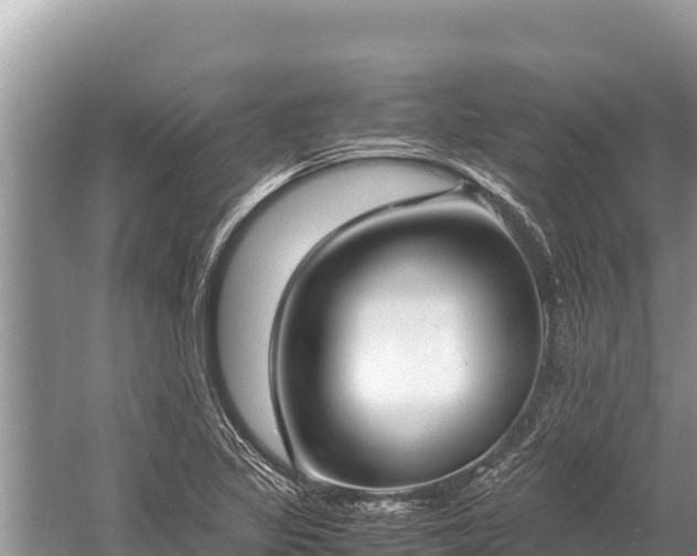 X0000060231317200510311537