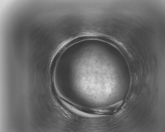 X0000060231319200510311537