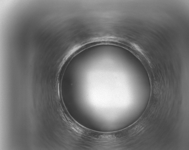 X0000060231320200510311537