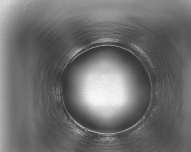 X0000060231321200510311537