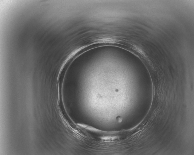 X0000060231323200510311537