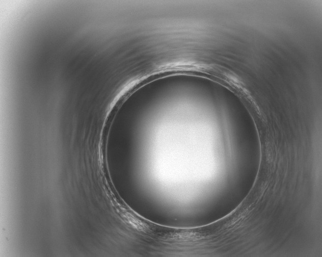 X0000060231328200510311537