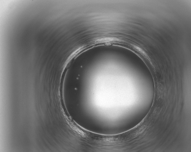 X0000060231330200510311537