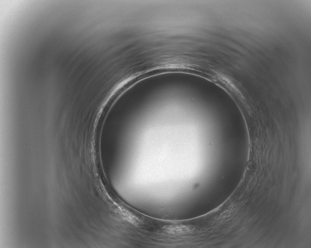 X0000060231331200510311537