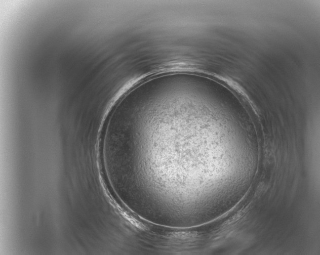 X0000060231333200510311537