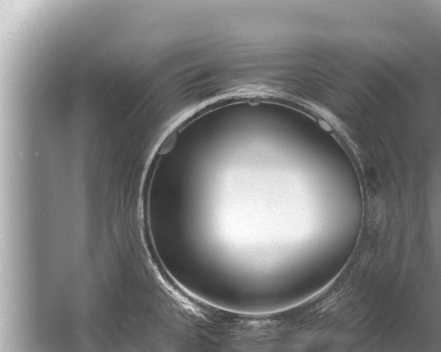 X0000060231335200510311537