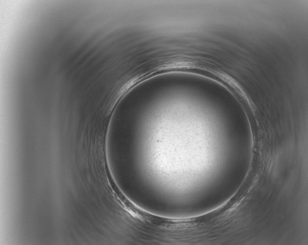 X0000060231337200510311537