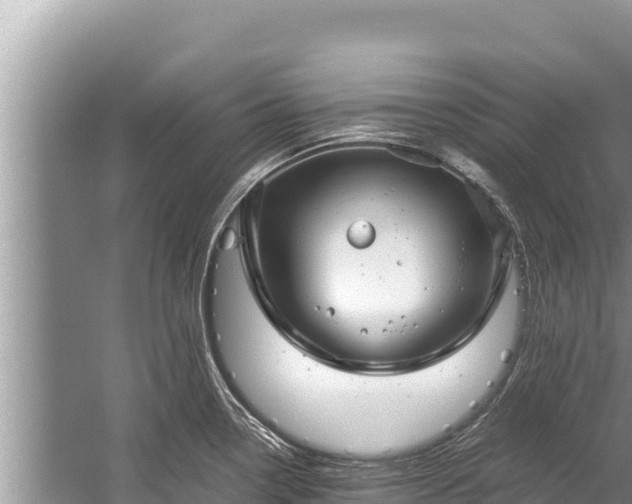 X0000060231338200510311537