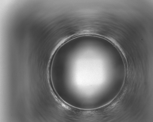 X0000060231341200510311537