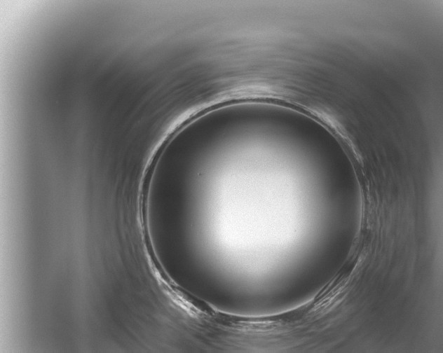 X0000060231342200510311537