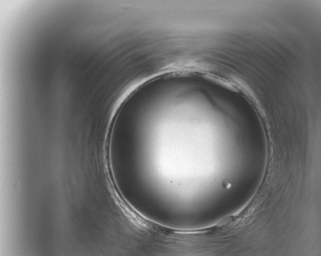 X0000060231344200510311537