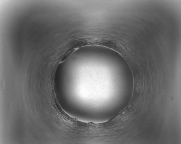 X0000060231345200510311537