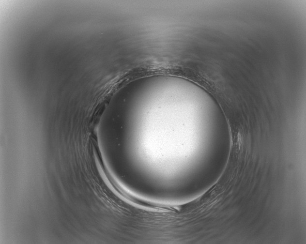 X0000060231348200510311537