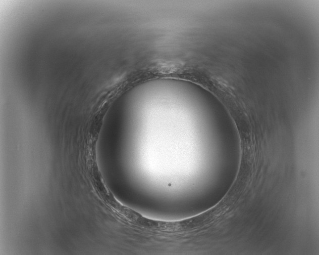 X0000060231349200510311537