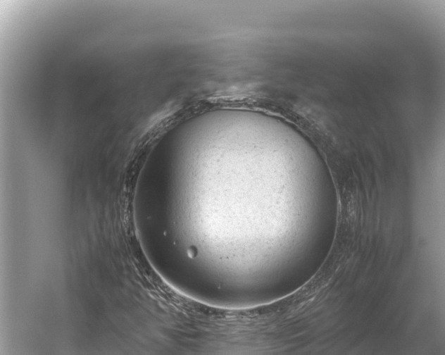 X0000060231350200510311537