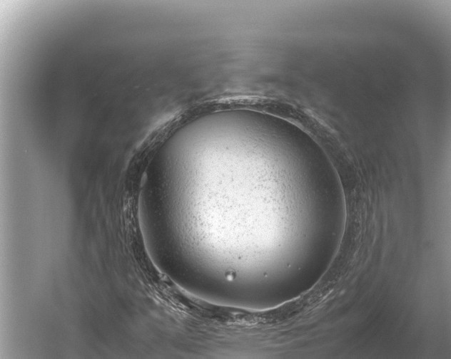 X0000060231351200510311537