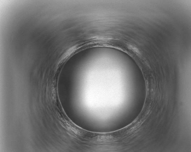 X0000060231354200510311537