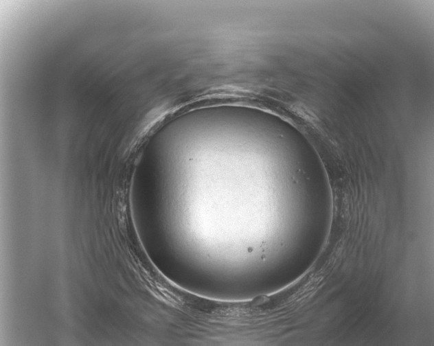 X0000060231355200510311537