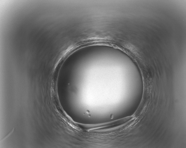 X0000060231357200510311536