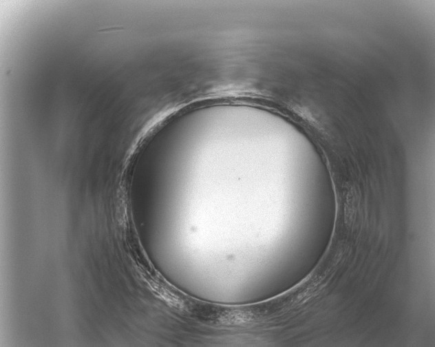 X0000060231358200510311536