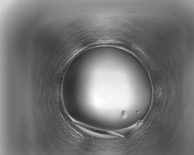 X0000060231361200510311536