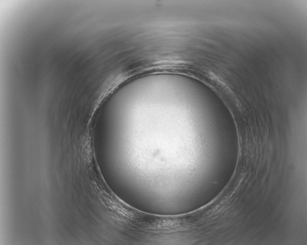 X0000060231362200510311536