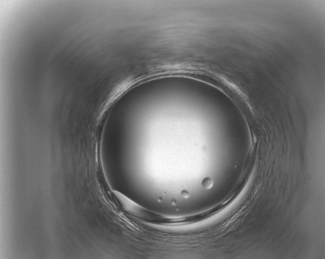 X0000060231365200510311536