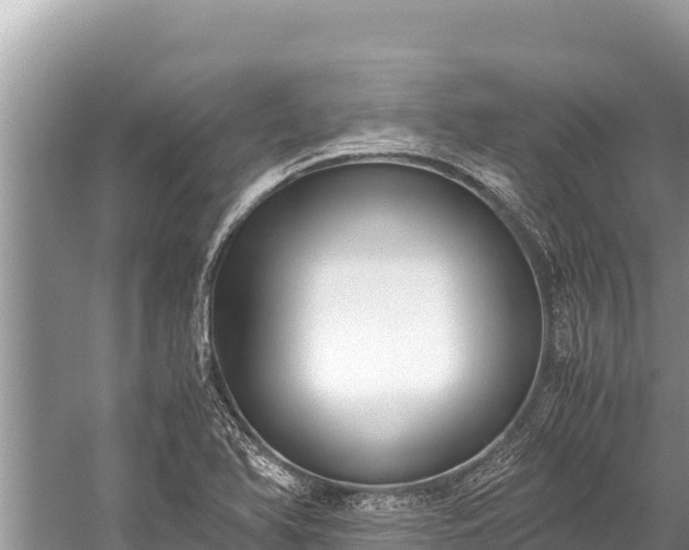 X0000060231366200510311536