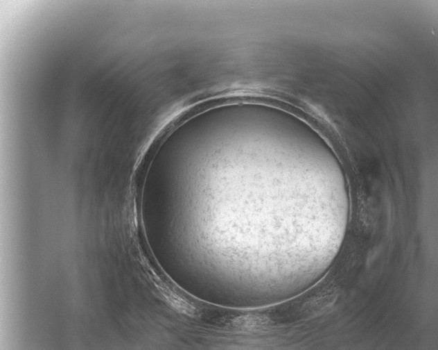 X0000060231368200510311536