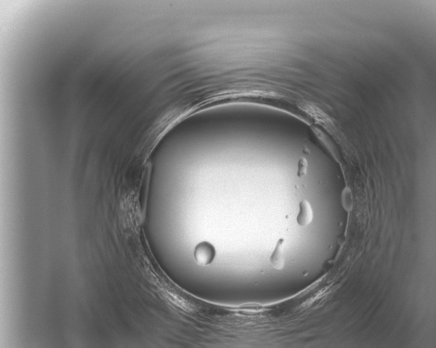 X0000060231369200510311536