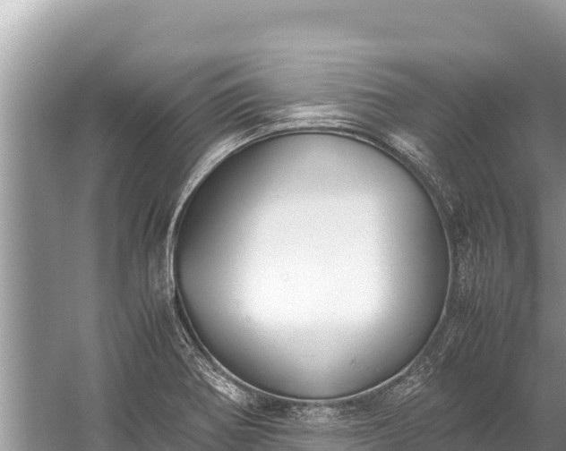 X0000060231370200510311536