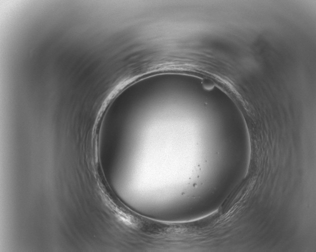 X0000060231371200510311536