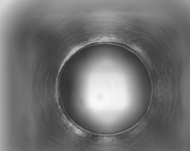 X0000060231374200510311536