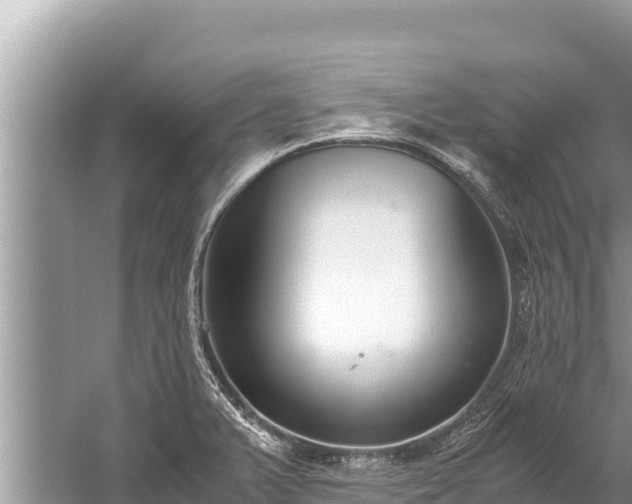 X0000060231375200510311536