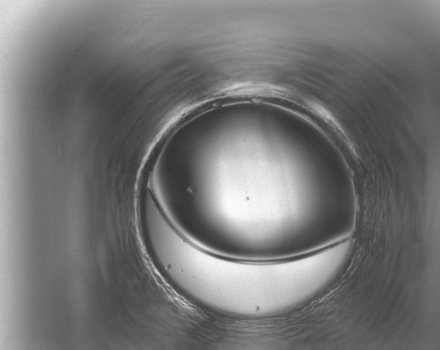 X0000060231376200510311536