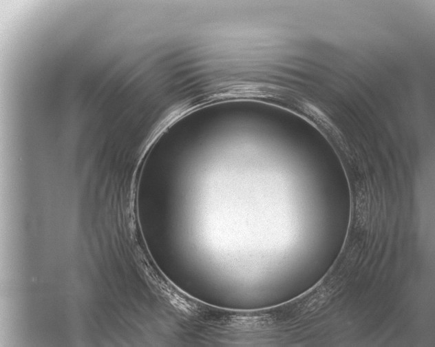 X0000060231378200510311536