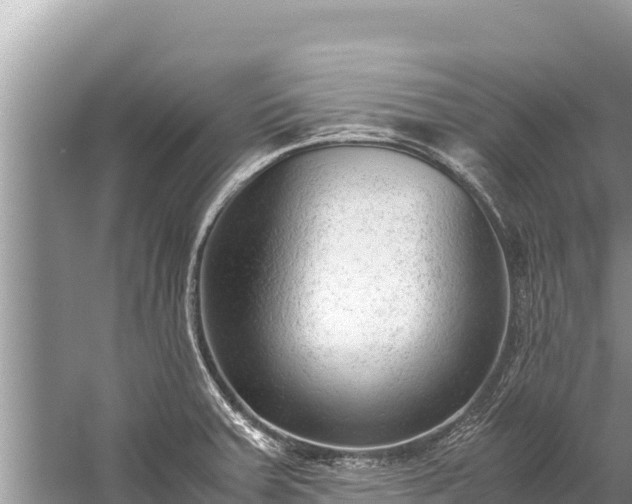 X0000060231379200510311536