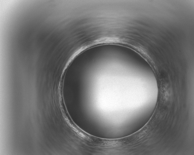 X0000060231382200510311536