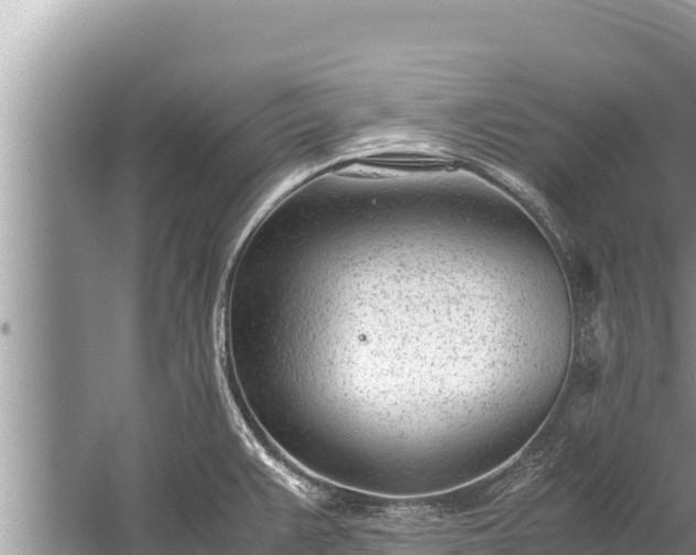 X0000060231383200510311536