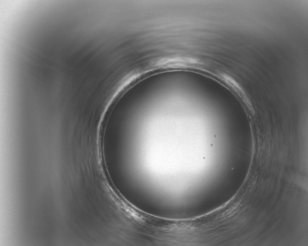 X0000060231384200510311536