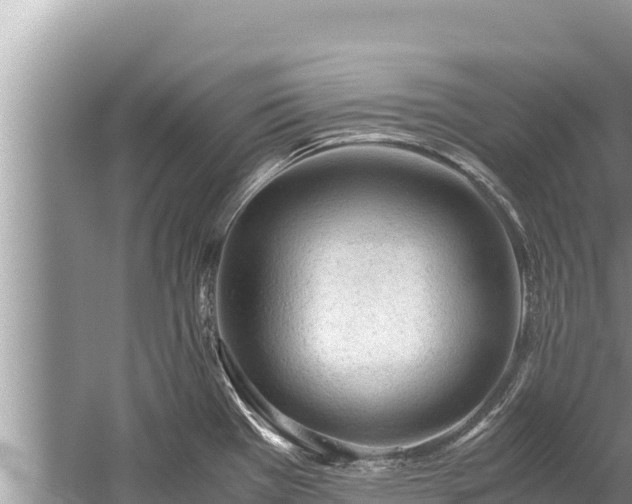 X0000060231385200510311536