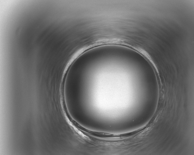 X0000060231389200510311536