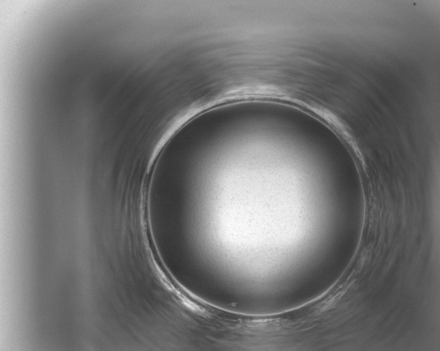 X0000060231390200510311536