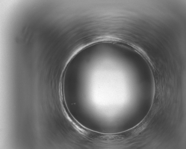 X0000060231391200510311536