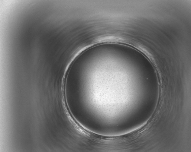 X0000060231392200510311536