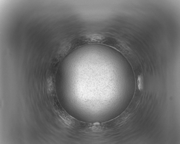 X0000060231395200510311535