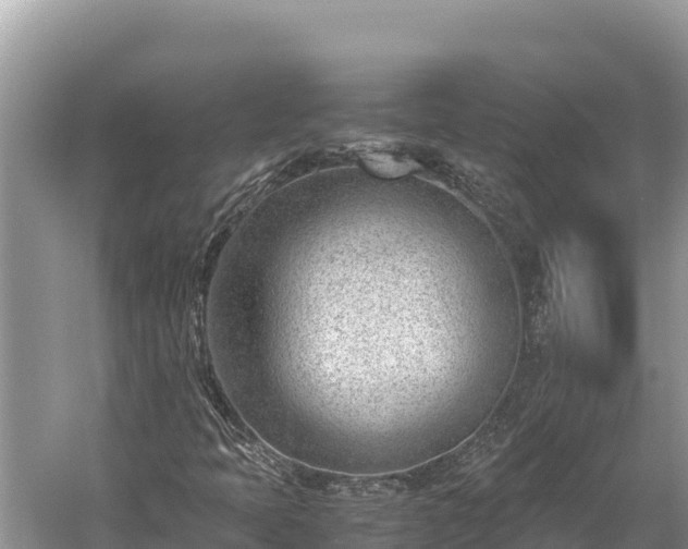 X0000060231397200510311535